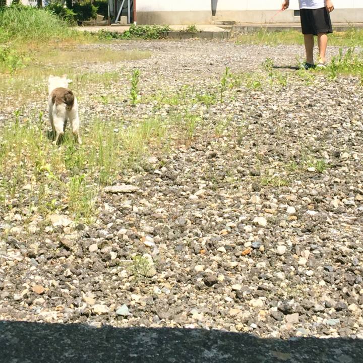 33024539 c8db 4871 857f 06763a0bc636 1516891085621