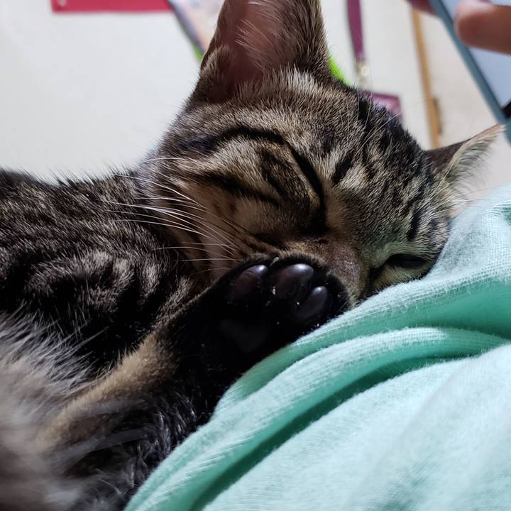 33025376 e7cf 44ce ada1 3a04f043c752 1541942335556