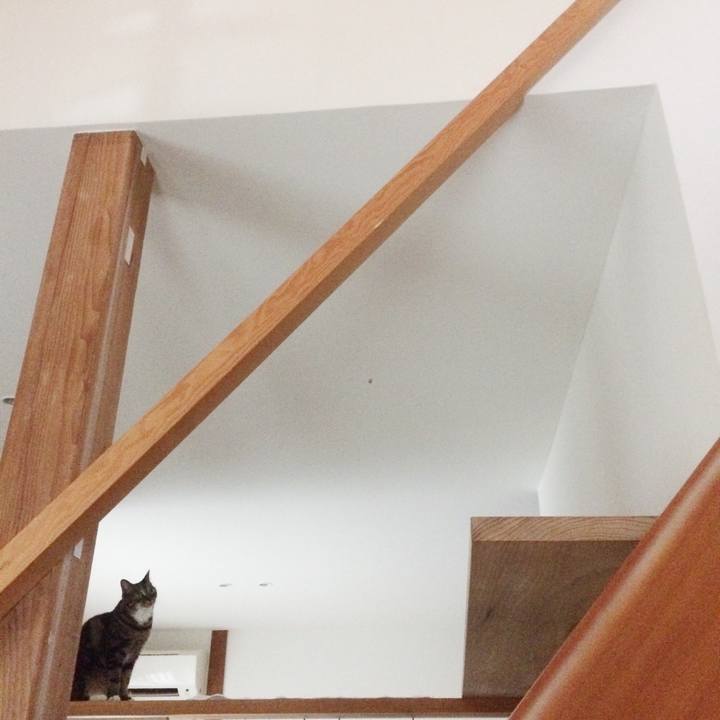 33025794 e933 4996 a662 e50320ef7a7d 1535843408478