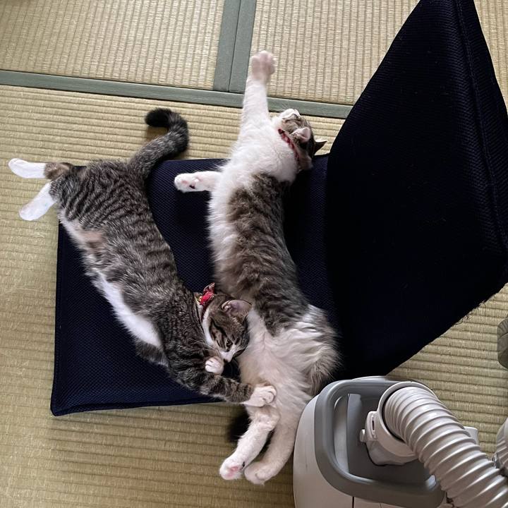 33025f41 01a5 444d ae4a 03fed0bd98c0 1692588714399