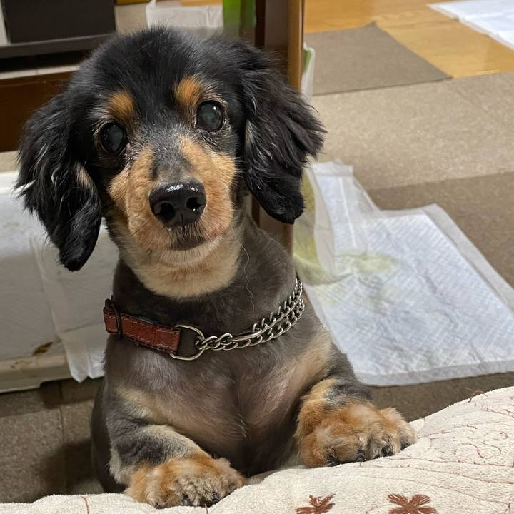 33026f38 bb3b 4a22 9f10 4f808d6813b2 1655466870991