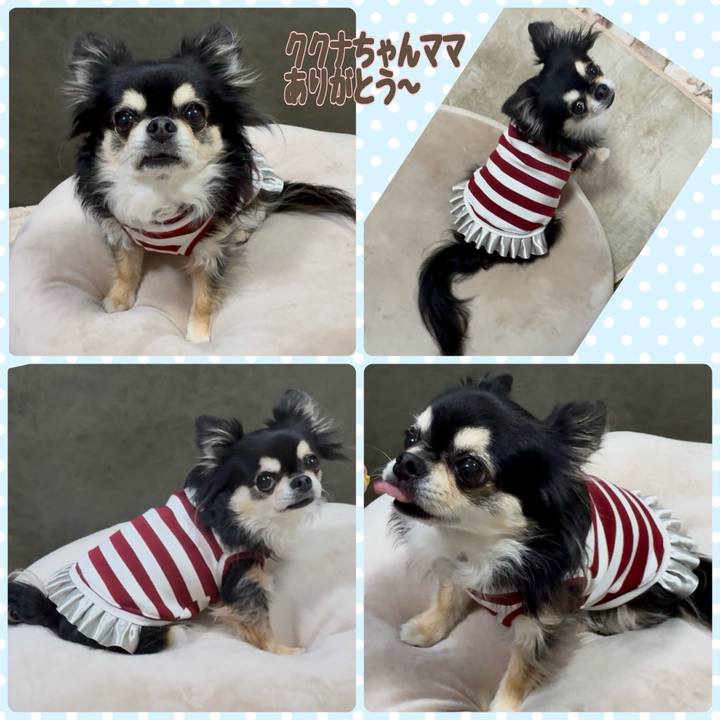 33028818 5ee7 437c a49e b41b25c9796f 1738238685310