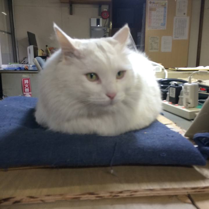 330288d3 0bff 449a a40c db61a60b2e1b 1511130063647