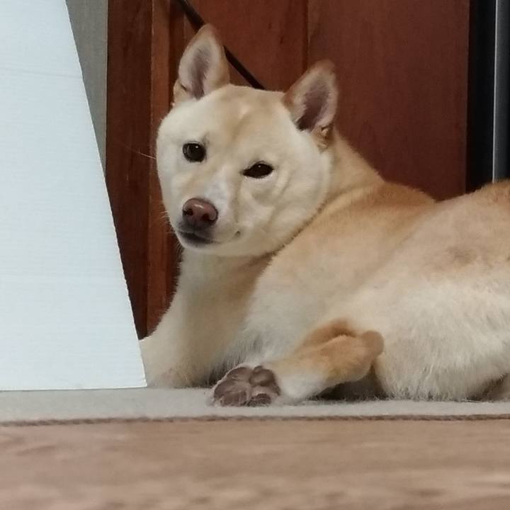 3302b06a 16fb 48c1 af40 ffa0b1a57afd 1529325267005