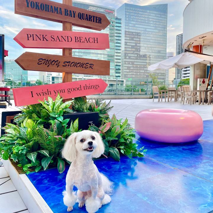 3302dc43 cda7 4ca7 85f8 e003a8ebfd5a 1630386341256