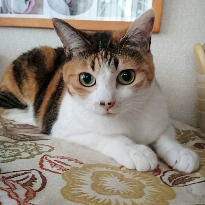 33030f58 e32d 4d7f aa38 8c62a52fe1c1 1515895520063