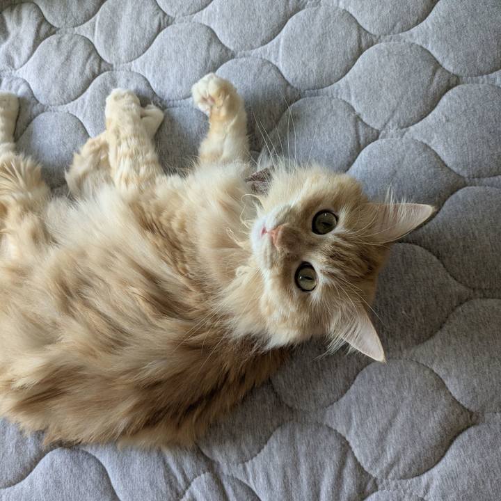 33031d83 1c06 4756 b9a0 ba96086cd738 1756432878950