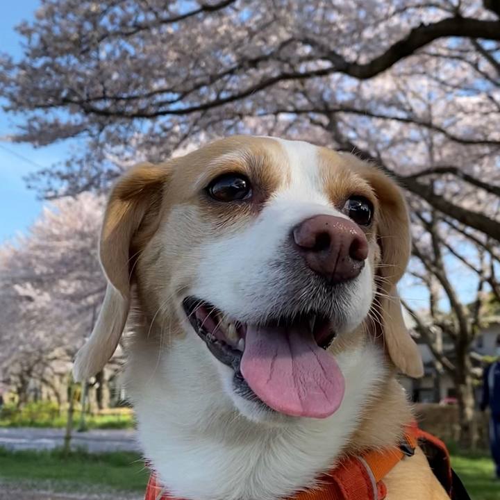 3303300e faa0 4c02 add1 4d8dbd609167 1649241102153