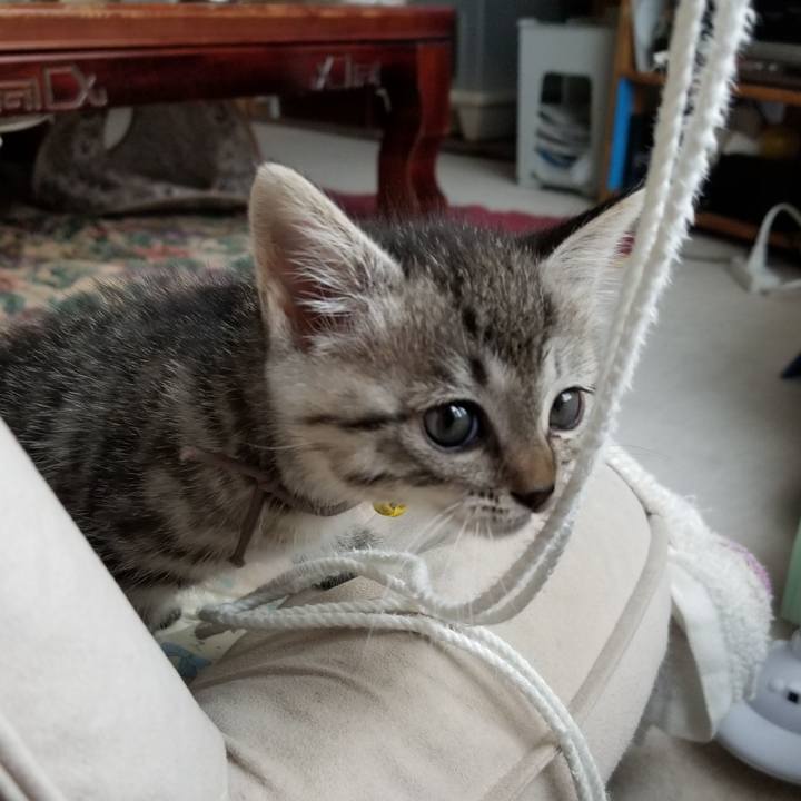 3303468d 9431 428f be4a a35700afdbc7 1661786235827