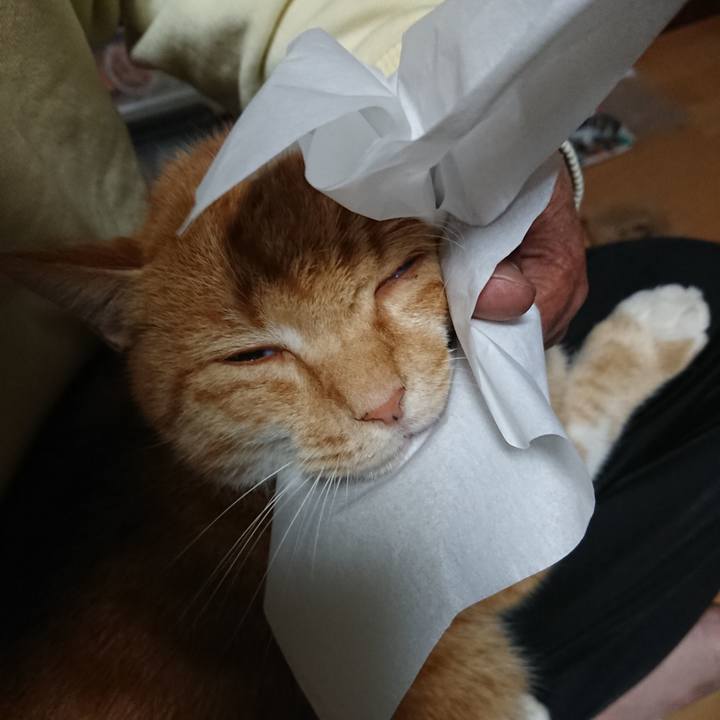 3303483a b1df 43fd 9833 2deb9dd8a5fd 1604090653887