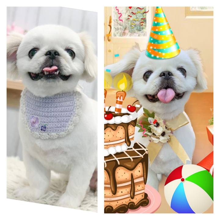 3303f88e fbc6 4467 a3b7 a039dad0cd1c 1686295729806