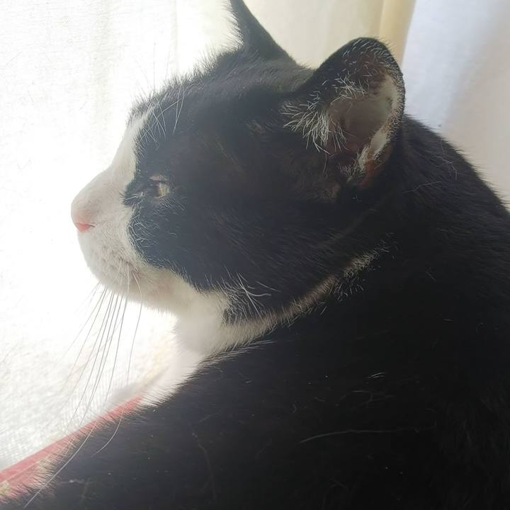 33040517 02e3 4666 bb71 1d7febf1ba54 1560718708694