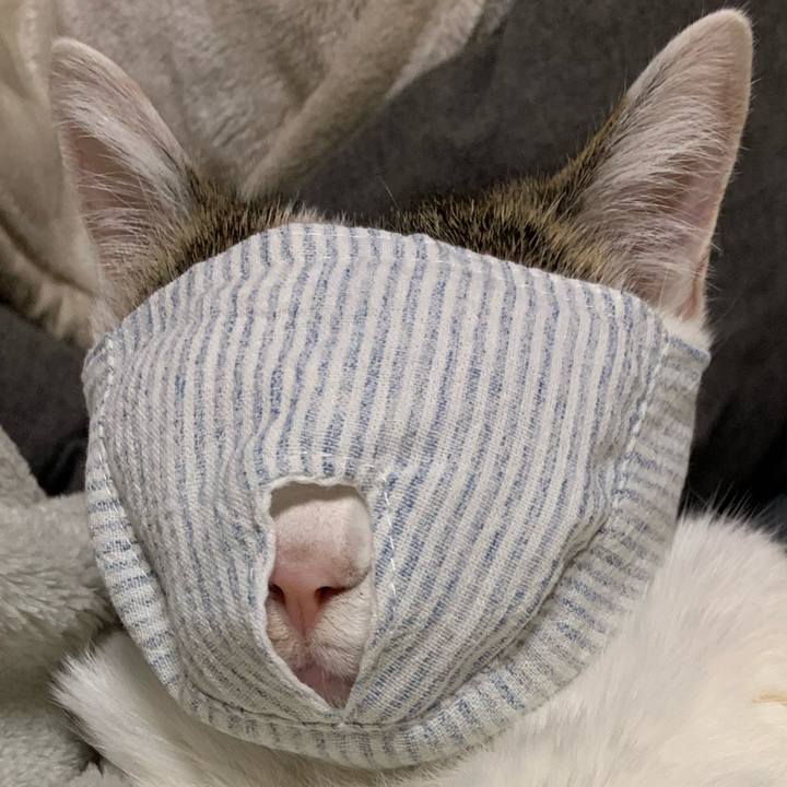 330429eb a4d1 413a 8935 c24123eb3371 1678282504743