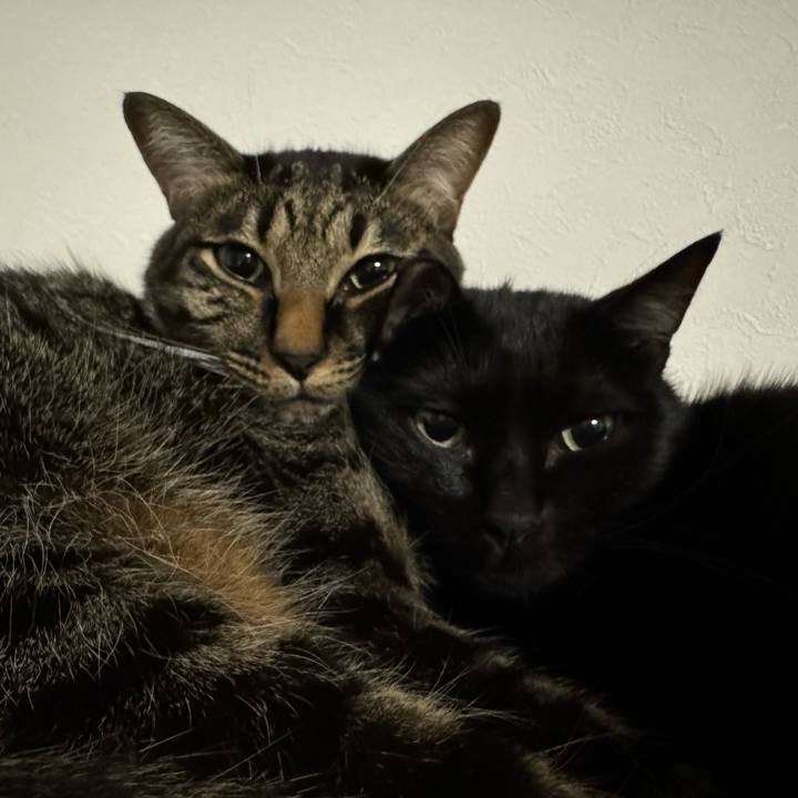 3304627e 18f9 43e6 9b93 27da3e55fb27 1730288564491