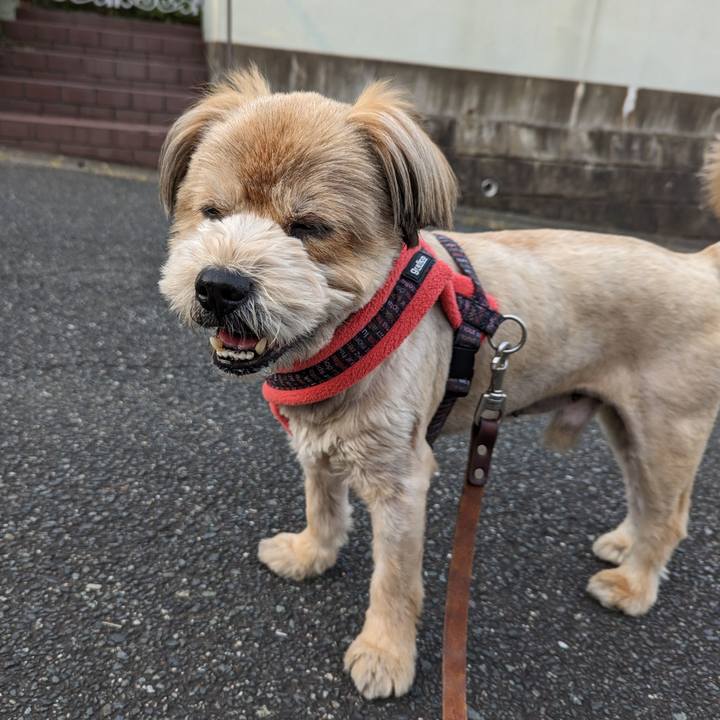 330469d5 a1bf 4968 be8d 28d10d1d2219 1684329391714