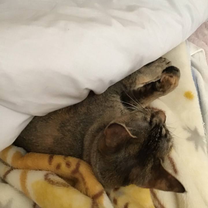 33048925 b5d9 4d32 9a25 729c92b723fb 1586561106667