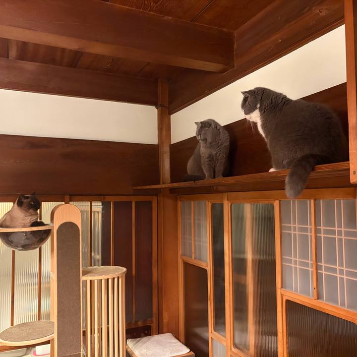 33049f4c 26cc 4dc4 9b29 28cc4ba5e533 1765538419533