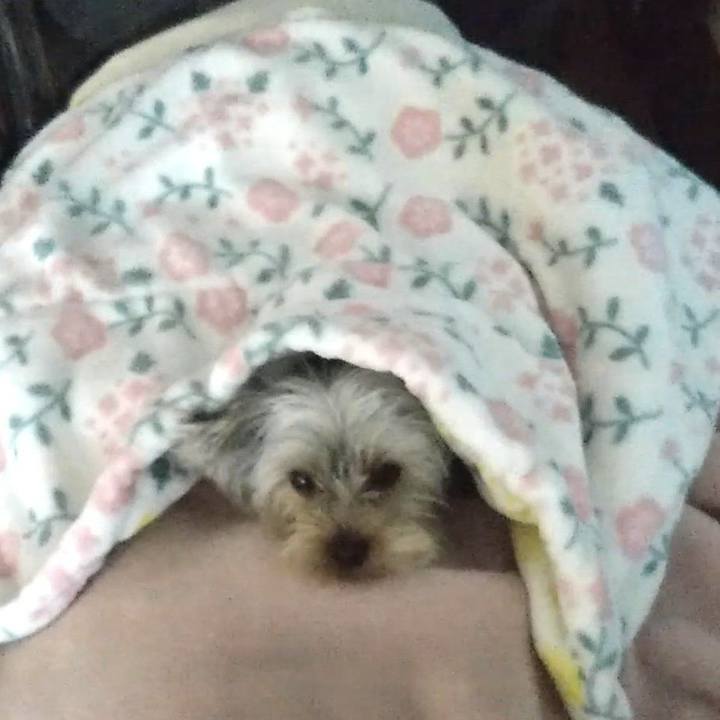 3304bb2d fc3d 4fbf a7bf 5c450bad5cf3 1547126890505