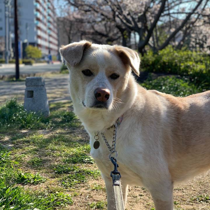 3304d088 21bd 48b9 99f6 5f15d579591a 1554336858847