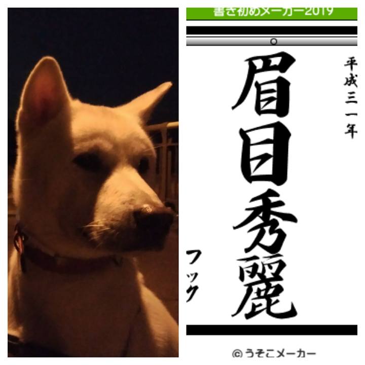 33058c57 602d 47b7 8fbb 5b1745337757 1546427909641