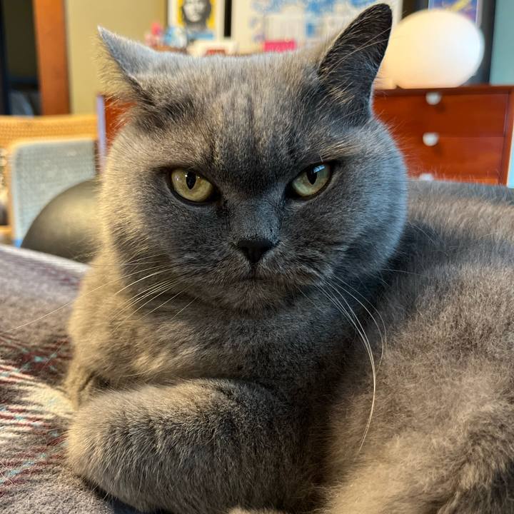 3305b171 1f18 4a0f afa1 6d1aab3a6483 1732239704459