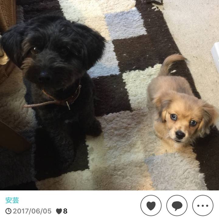 3305cb8e b9f5 4395 954f 9702c99b49e5 1591282802510