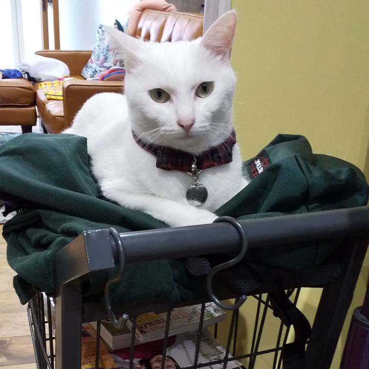 3305d776 824e 4633 a5f7 01bd286f8ddf 1571152295454