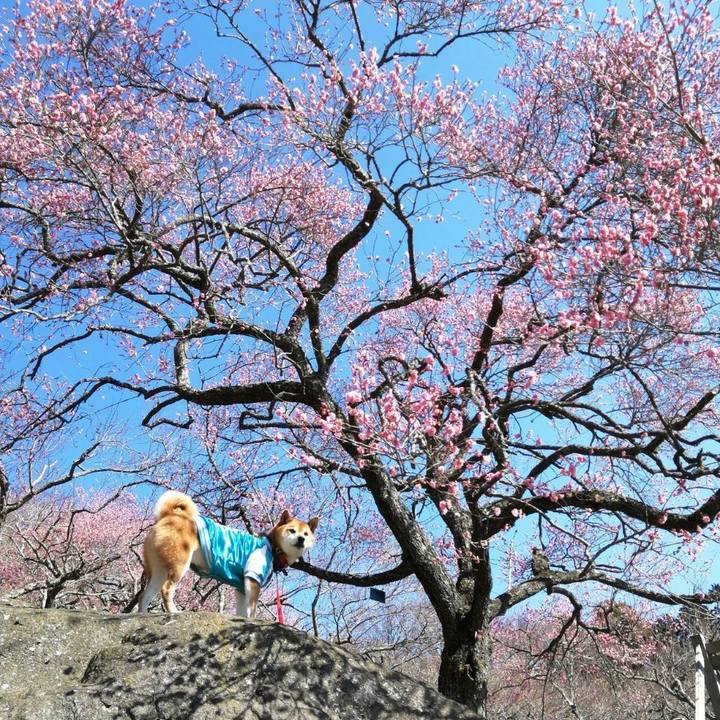 3305df9b ef07 4f4e b1c6 cb3eb081a769 1645542959352