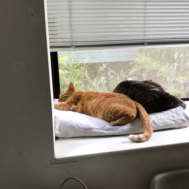 3305f8e0 adc7 4050 ab5c cbda6fbef618 1595226051150