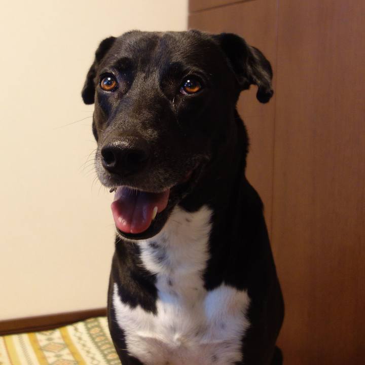 3306710e c068 4b72 ac5e 8945bc8043cd 1626653684628