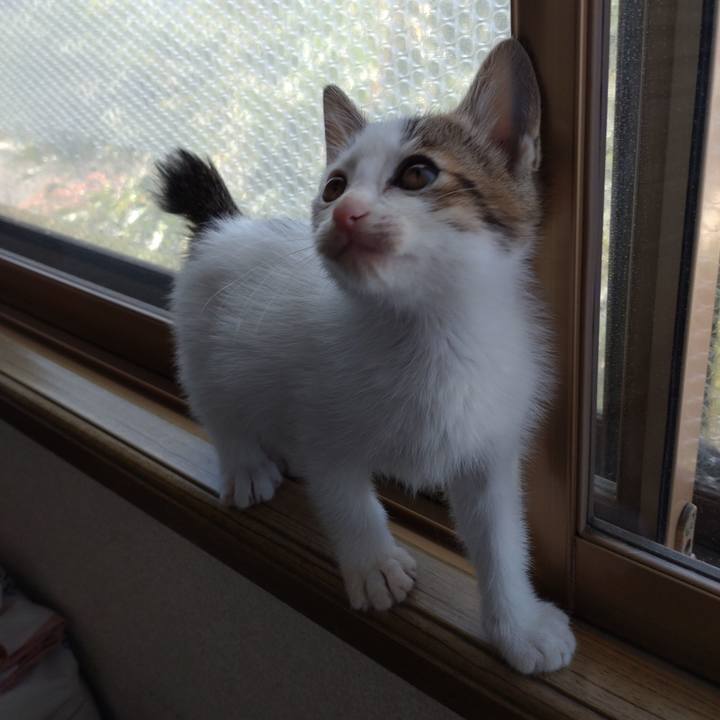 33067649 c0ec 43e1 8b8a f887c400bbe5 1632540960149