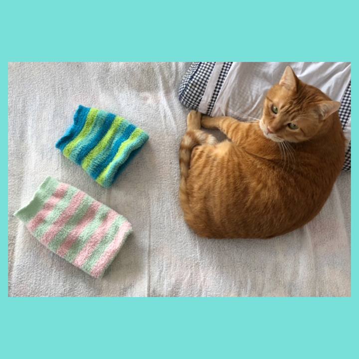 33067bdd 0628 404f 8915 fb204ce70c73 1612576281759