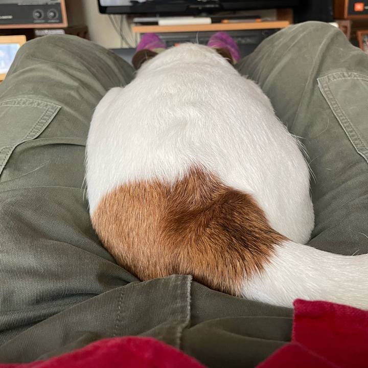 33069361 706a 4aa3 99d7 18b8ef02a92a 1695541313566