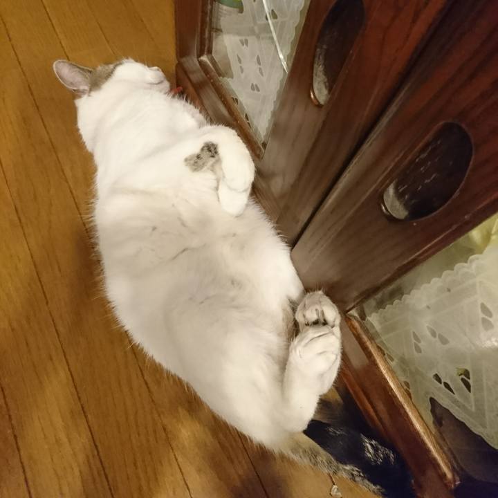 3306c018 a5d0 4ea6 90a1 dd7cb73b7796 1532965211510