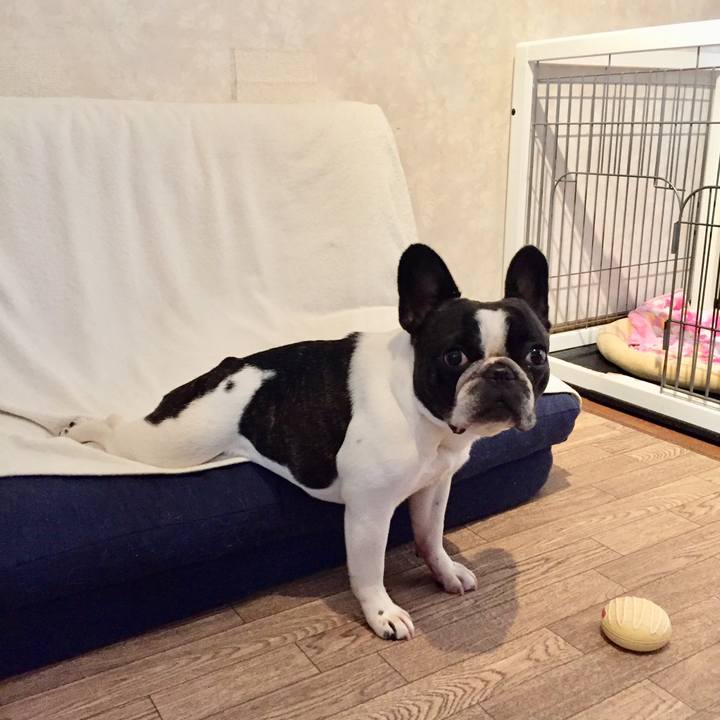 330703e9 488f 49cd b4a2 c1a8e1d02c20 1531649304586