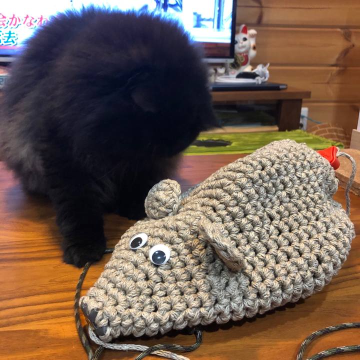 3307073f e9cd 4f54 ab1f 3490a719f63b 1591534848026