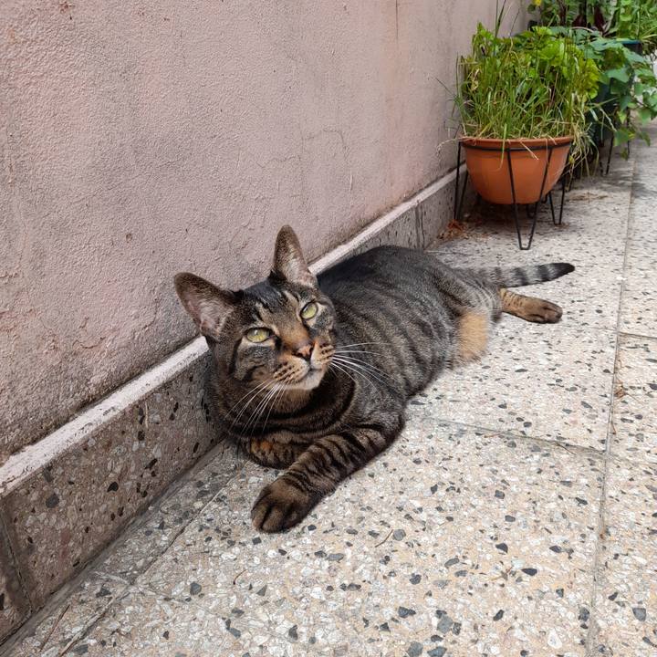 33074bd1 fedb 4b09 b5a2 bc1e07497193 1762135565204