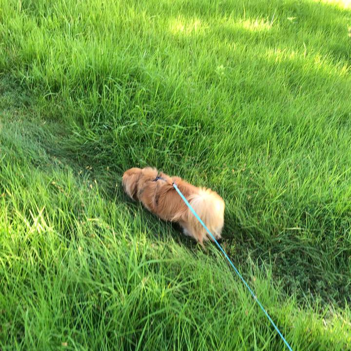 3307a24c 2a1c 49fb a2d8 d0090786c843 1565044653466