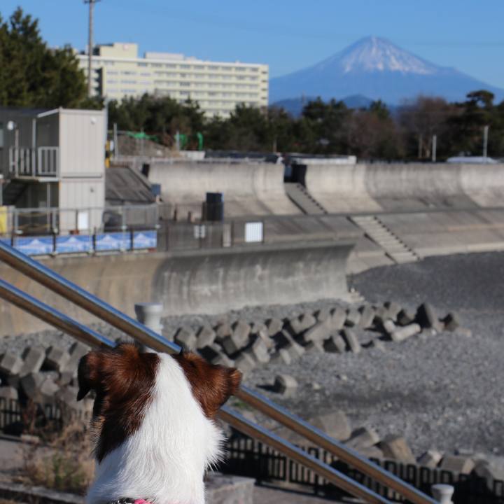 3307bb72 68c4 4b92 b5ca 87be7313958f 1515033622390