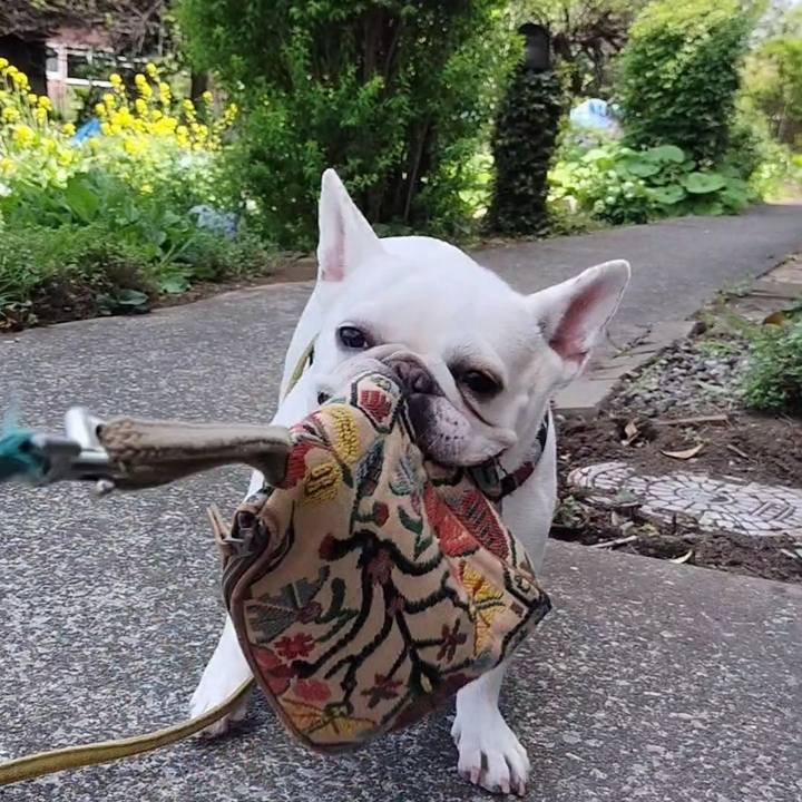 3307c892 a7f5 46a5 8f00 538dd8629d24 1681272018073