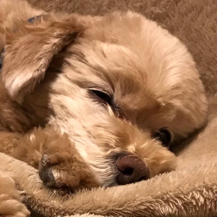 33086228 f3fb 41fe ac9b b5501ed77479 1554040825688