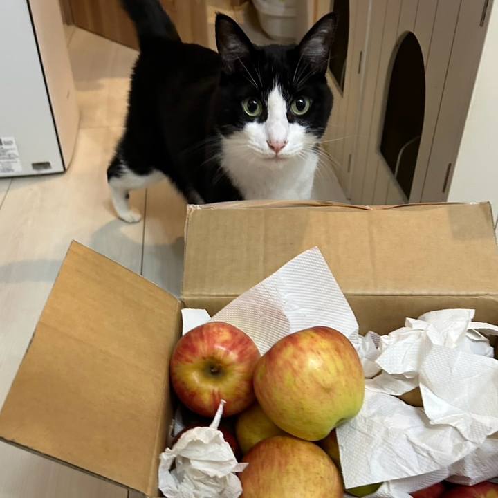 3308650a cc10 4a98 839d f384635e6301 1758026621523