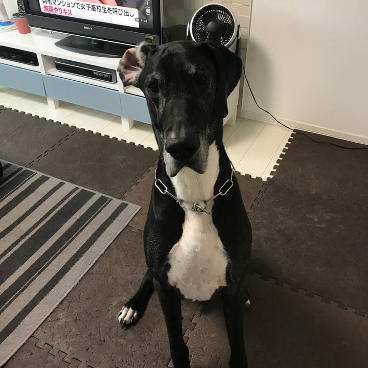 330871d1 c196 4384 88cb ee59b9d9f7dd 1525215087999