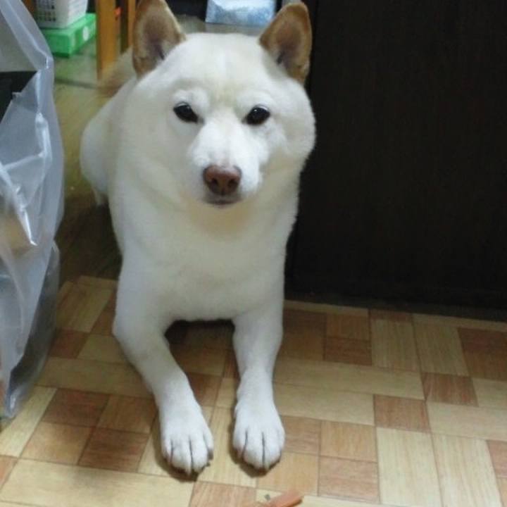 330873f9 0dbf 4a14 b45d 48d6893f58e3 1656054020133