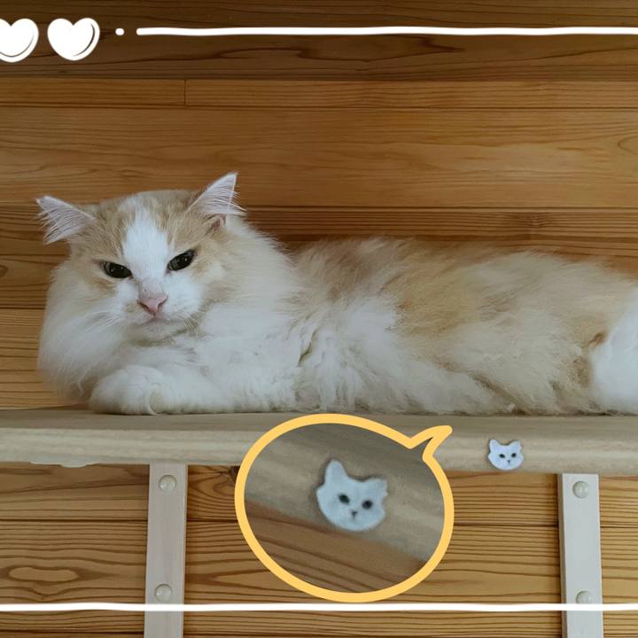 3308c9fb e037 481a 9c92 ce101e1a2a48 1694730268839