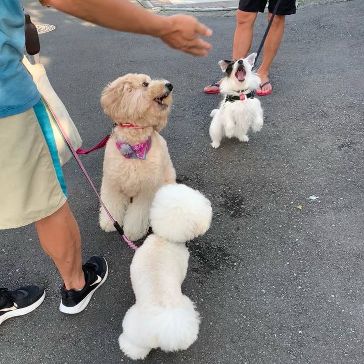 3308e928 c360 4fd8 bde1 7174c94ee337 1692138729931