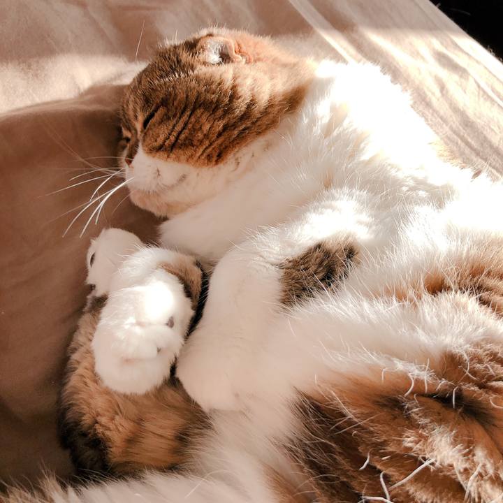 3308ef6c a1d5 4889 b353 e002380a41f4 1585087537173