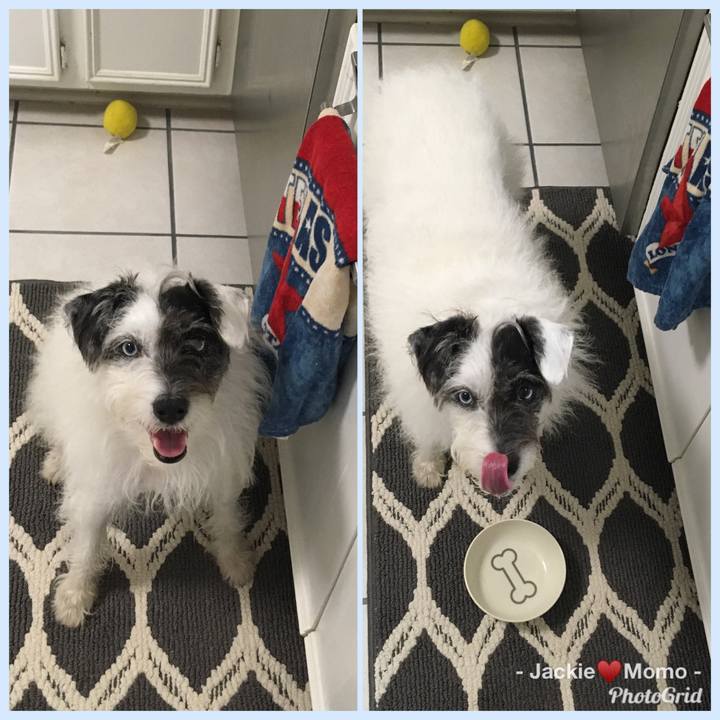 3308fab2 1262 4e23 af12 6e84df160754 1575929892351