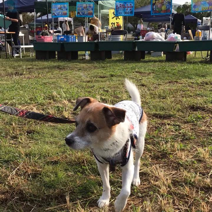 33090289 0bbc 4d7f a0a4 6290cc9f7065 1569628239643