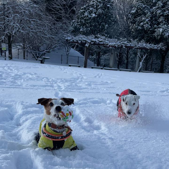 330902ee e7e4 437a bfba 8042cc92eb7b 1768952385279